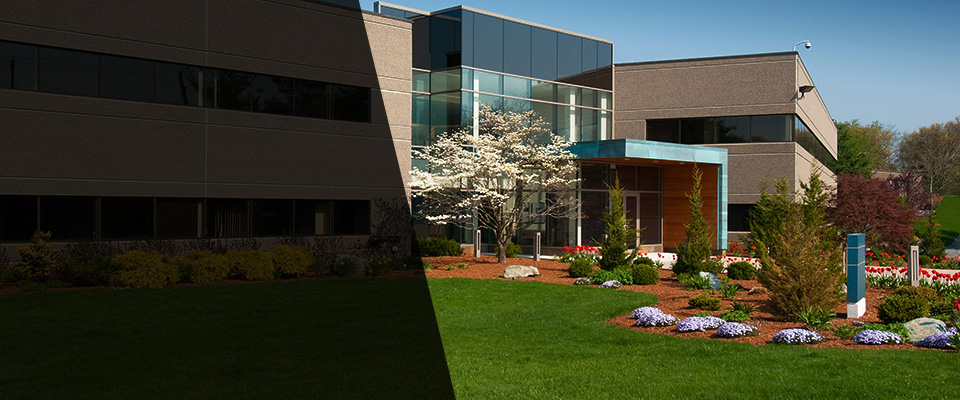 Whitesboro Landscapers