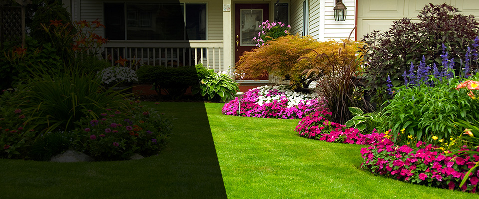 Whitesboro Landscapers